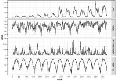 Climate-driven scrub typhus incidence dynamics in South China: A time-series study